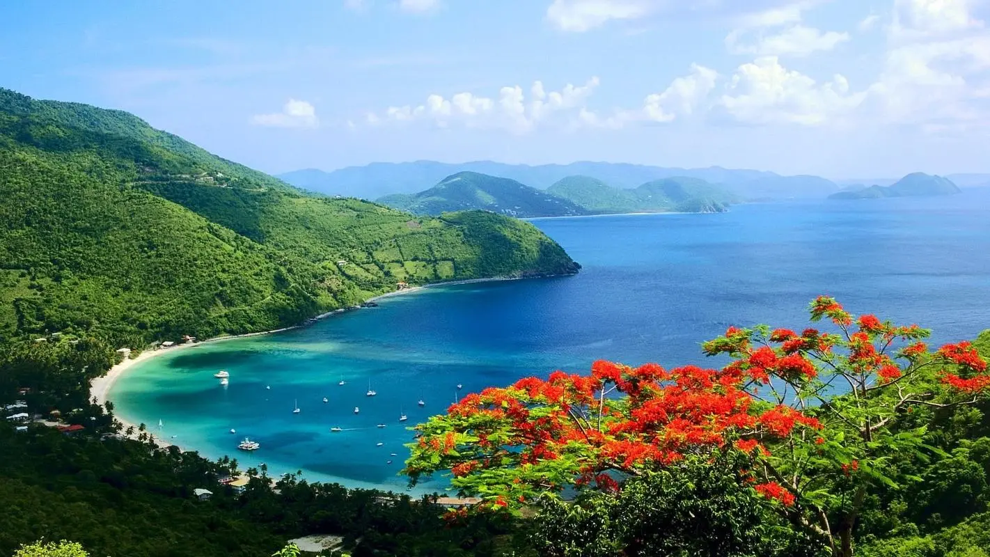 高端自动化智慧